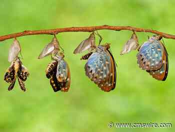 How Tech Brands Can Revolutionize Customer Engagement in 2023