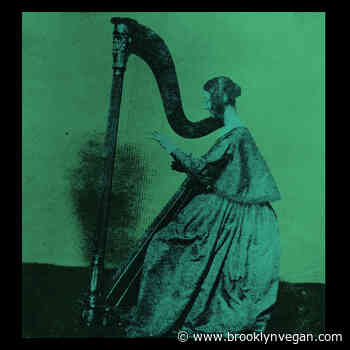 Listen to TV Girl's new album 'Grapes Upon the Vine'