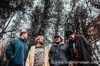 bdrmm break down every track on their fantastic new album 'I Don't Know'