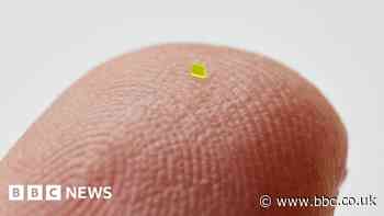 MSCHF microscopic bag 'smaller than grain of salt' sells for $63,750