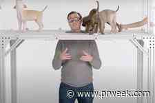 Google disputes claims of misleading video ad placement