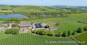Northumberland farm with stunning Breamish Valley views hits the market at £6.75m