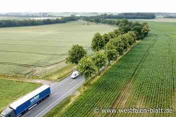 OWL-Straße: 2+1-Ausbau soll im Frühjahr starten