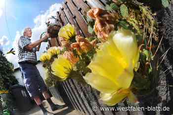 Der Hobby-Gärtner mit den 266 Ohren