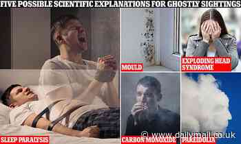 Do ghosts really exist? 5 possible scientific explanations for paranormal activity REVEALED