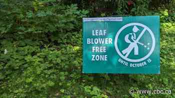 Toronto looking to ban gas-powered leaf blowers to reduce noise and air pollution