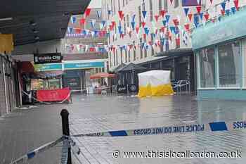 Premier Inn Orpington double stabbing: Teen fighting for life