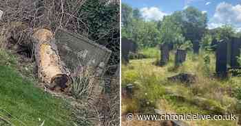 Grandmother 'heartbroken' as used needles and beer cans littered across Gateshead cemetery