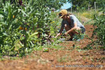 Nanaimo council re-thinking previous plan for affordable housing at Five Acres Farm