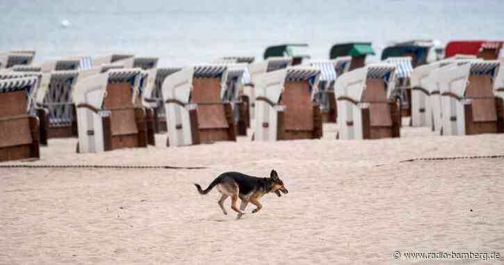 Juli startet eher frisch und wechselhaft