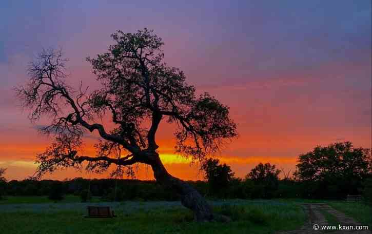 VOTE: Help us choose the best KXAN viewer photo of June 2023