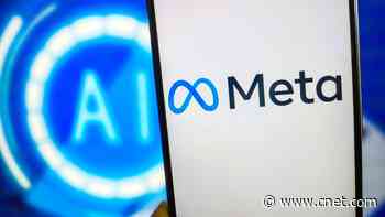 Meta Uses AI to Organize Your Feeds. Now It's Telling You How     - CNET