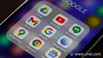 How to Save Your Photos From Google Album Archive Before They're Deleted     - CNET