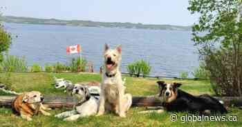 Your Saskatchewan photo of the day: July 2023