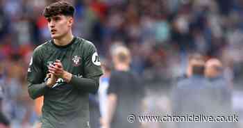 Hasenhuttl's 'serious player’ Tino Livramento claim explains why he's ideal for Newcastle United