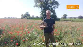 Natur in Augsburgs Norden soll aufgewertet werden – Bauern sollen profitieren