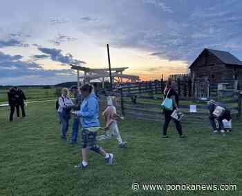 ‘Bat ‘n Beers Night’ set to run at Ellis Bird Farm