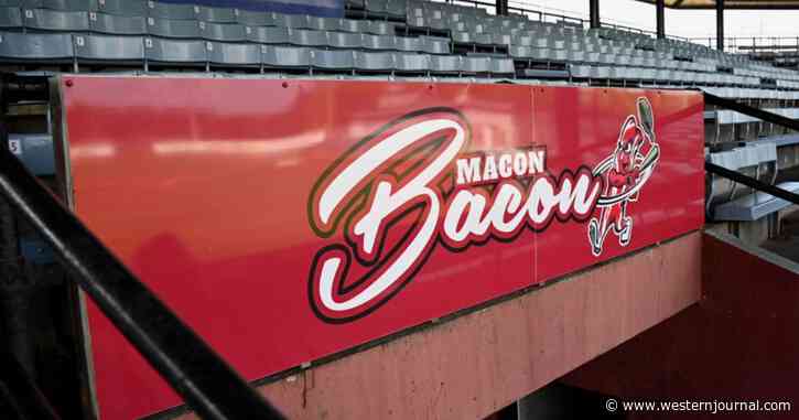 'Sizzling Forever': Baseball Team Strikes Back After Activist Group Attacks Over 'Glorification' of Meat