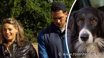 Wegen krankem Hund: „Goodbye Deutschland“-Paar wandert von Jamaika nach Mallorca aus