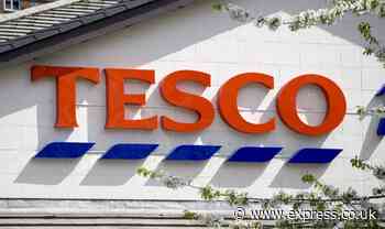 Tesco price cuts for 500 everyday items - here’s how you can save on your weekly shop