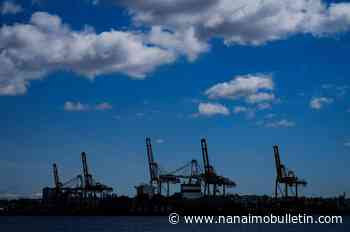 Strike gets underway for more than 7,400 port workers across B.C.