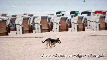 Der Juli startet eher frisch und wechselhaft