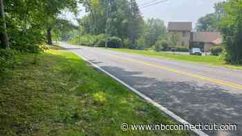 Man injured trying to rescue dog from bear attack in Litchfield