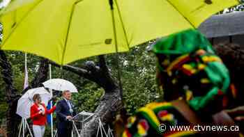 King of the Netherlands apologizes for country's role in slavery on 150th anniversary of abolition