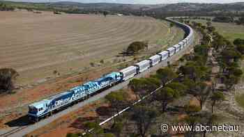 Grain handler CBH spends big on new trains to future-proof supply chain