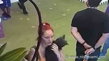 Woman walks out of Doral puppy store without paying for $4,500 dog