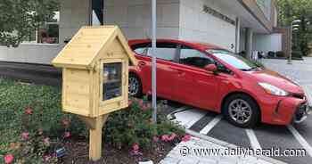 'A little act of kindness': Wheeling girl builds grocery pantry for local library