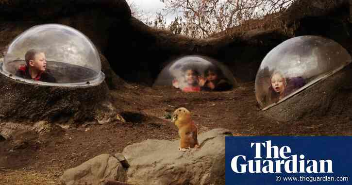 ‘It looked like an alien landscape’: Sheldon Serkin’s best phone picture