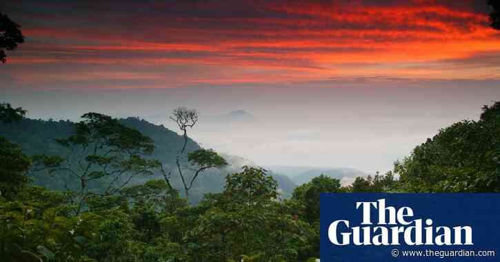 German travel agency criticized for tour of Panama’s deadly jungle migrant zone