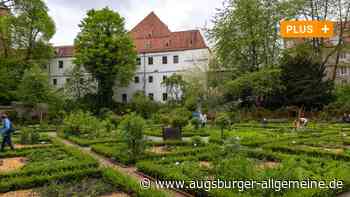 Kräuter sammeln: Hier wird man in Augsburg fündig