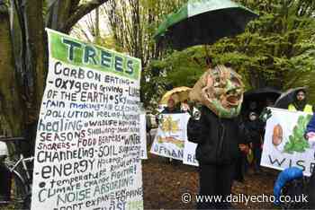 Southampton Airport loses bid to work on trees at Marlhill Copse