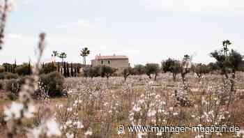Mallorca: Luxusklinik The Balance - wo die Reichen Alkohol und Drogen abschwören