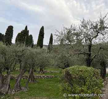 À Cabris, le projet d'implantation d'une antenne 4G dans l'ancienne propriété de l'acteur Jean Marais fait polémique
