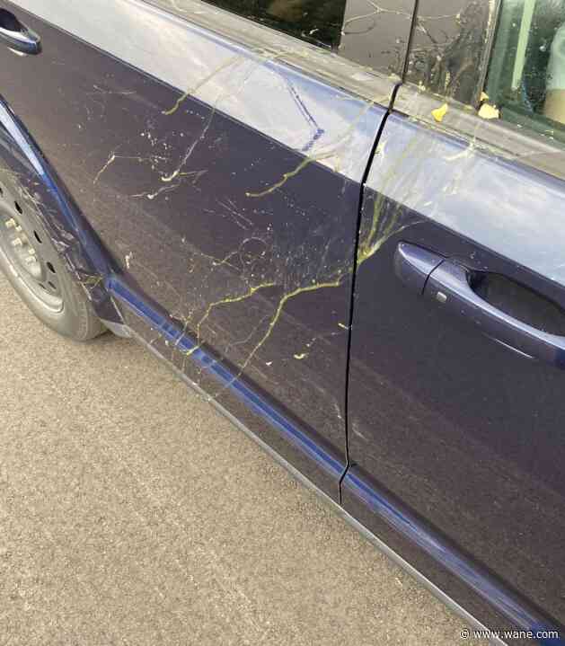 Road rage incident takes runny turn; Indiana man arrested after throwing egg and pointing a firearm