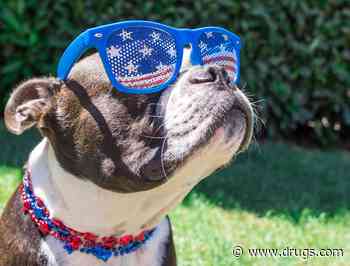 Stay Independent of Allergies, Asthma This July Fourth