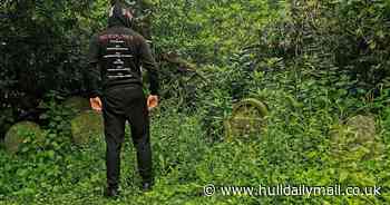 The overgrown pet cemetery hidden deep in the grounds of a Humber attraction