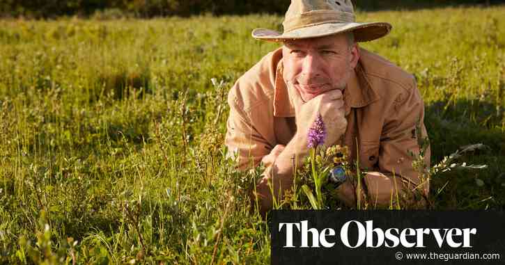 My law-breaking mission to save Britain’s endangered orchids