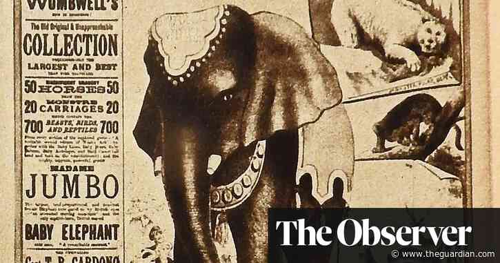 Archaeologists hunt for burial site of famous 19th-century elephant in Gloucestershire