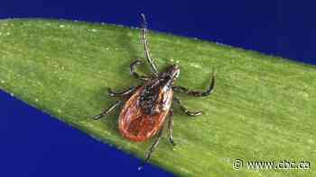 Ontario's top doctor says rise in tick-borne illnesses linked to climate change