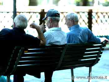 Assistenza, gite, balli e tornei. Così "Milano aiuta" gli anziani