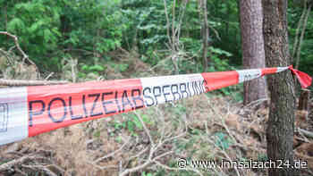 Partynacht endet tödlich: Mann überrascht Teenager und sticht zu