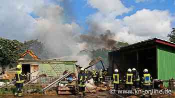 Brand in Tetenhusen: Tiere verenden, Menschen verletzt