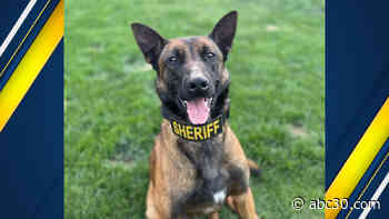 K9 officer escapes from Fresno home of Madera County Sheriff's Deputy