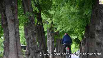 Stadtradeln: Bad Sachsa & Walkenried schaffen 29.562 Kilometer