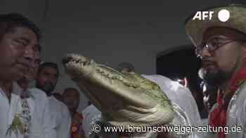Mexikanischer Bürgermeister heiratet Krokodil