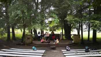 Camp without s'mores or swimming? Summer camps may look different this year due to wildfires